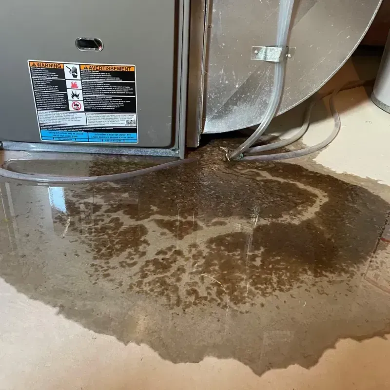 Appliance Leak Cleanup in Poynette, WI